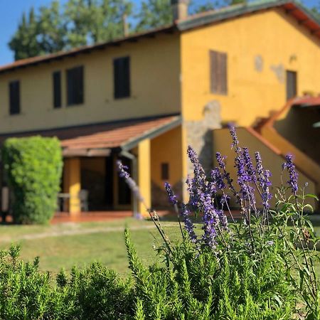 Agriturismo Santa Lorica Сасета Екстериор снимка