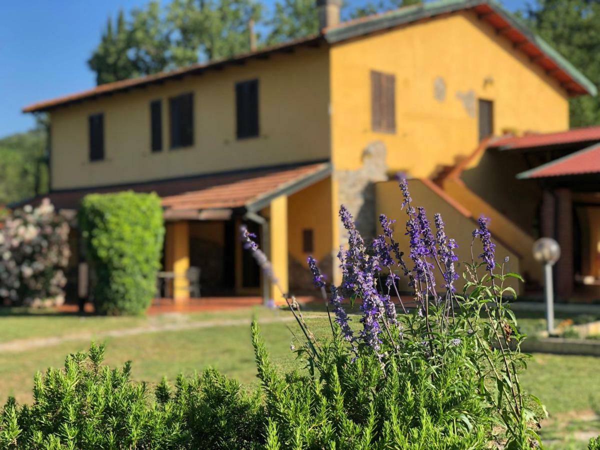 Agriturismo Santa Lorica Сасета Екстериор снимка