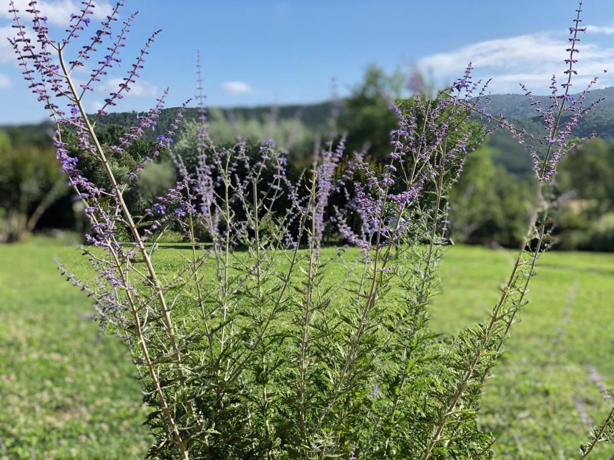 Agriturismo Santa Lorica Сасета Екстериор снимка